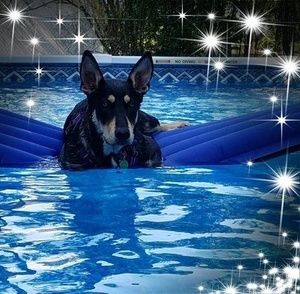 Meet your Posher, Tim